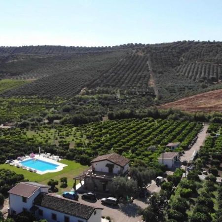 Agriturismo Trappeto Vecchio San Demetrio Corone Kültér fotó
