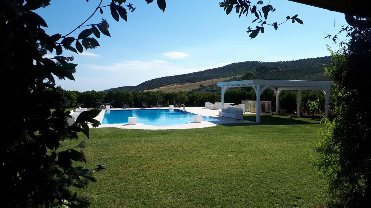 Agriturismo Trappeto Vecchio San Demetrio Corone Kültér fotó