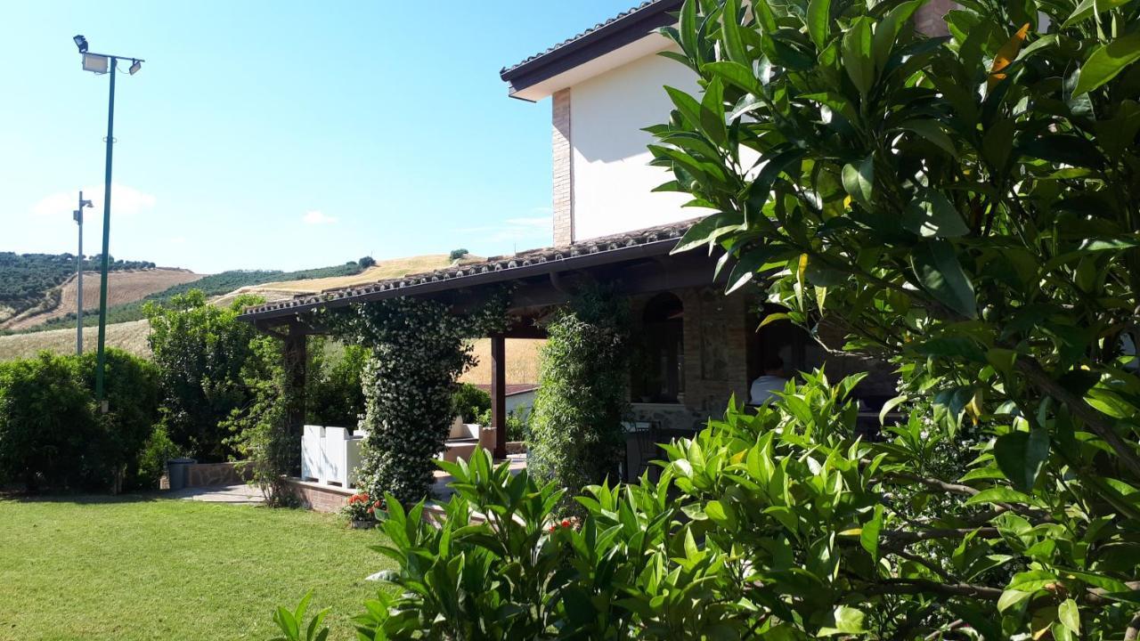 Agriturismo Trappeto Vecchio San Demetrio Corone Kültér fotó