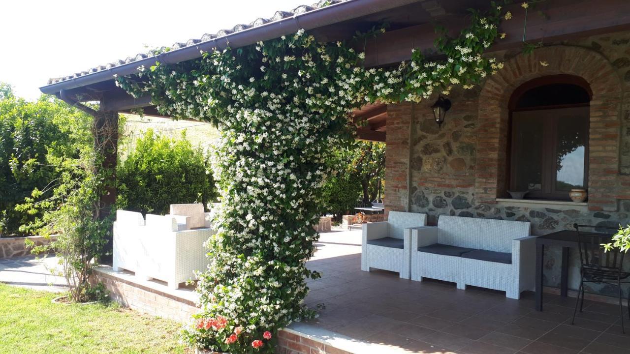 Agriturismo Trappeto Vecchio San Demetrio Corone Kültér fotó