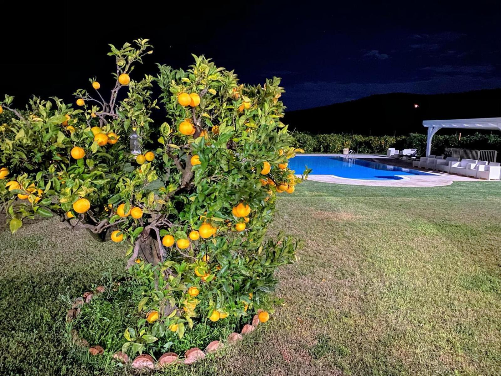 Agriturismo Trappeto Vecchio San Demetrio Corone Kültér fotó
