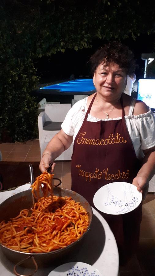 Agriturismo Trappeto Vecchio San Demetrio Corone Kültér fotó