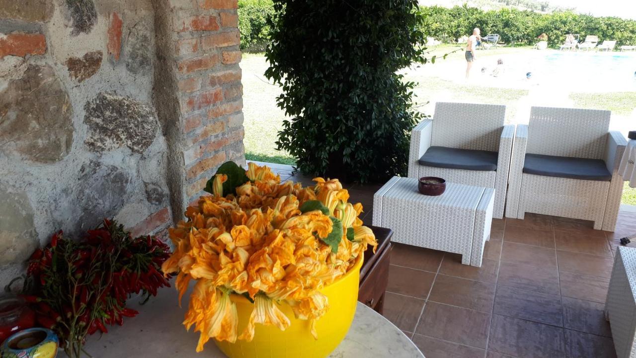 Agriturismo Trappeto Vecchio San Demetrio Corone Kültér fotó
