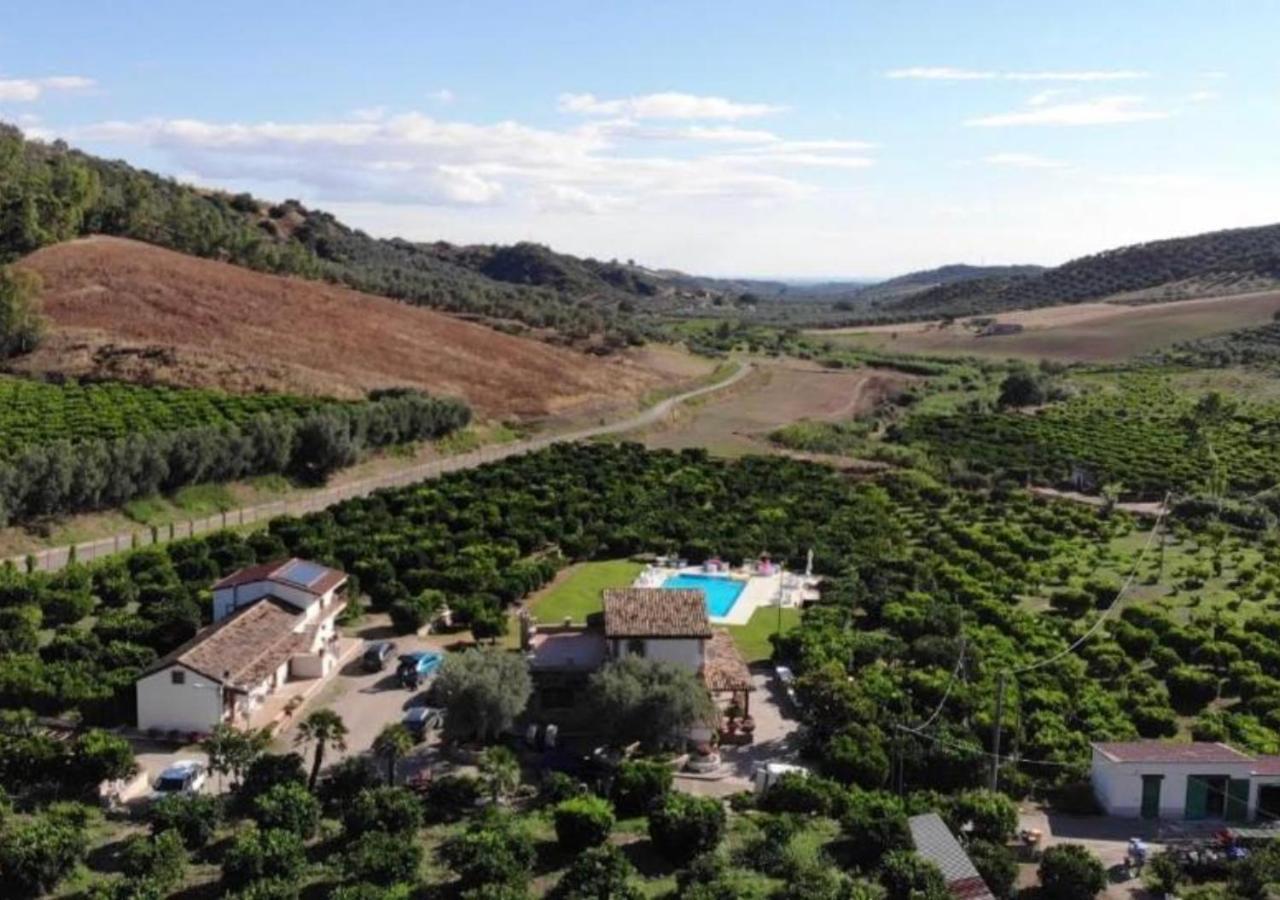 Agriturismo Trappeto Vecchio San Demetrio Corone Kültér fotó