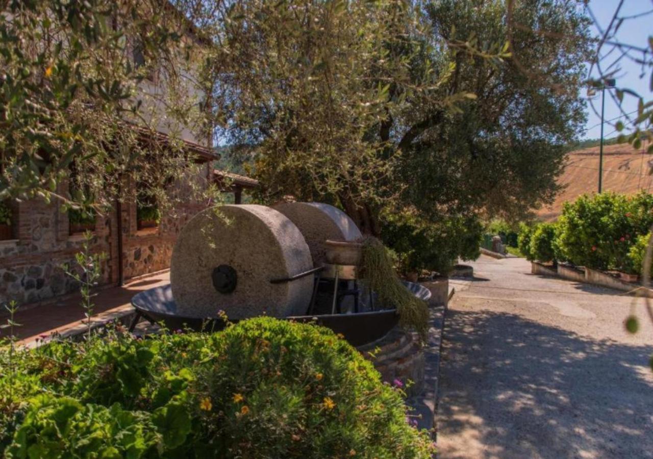 Agriturismo Trappeto Vecchio San Demetrio Corone Kültér fotó