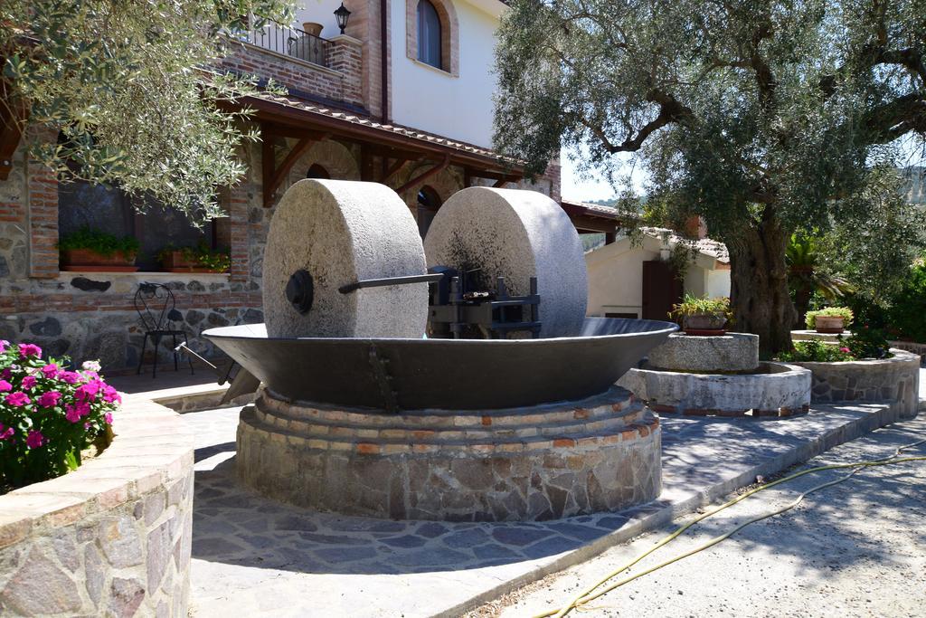 Agriturismo Trappeto Vecchio San Demetrio Corone Kültér fotó