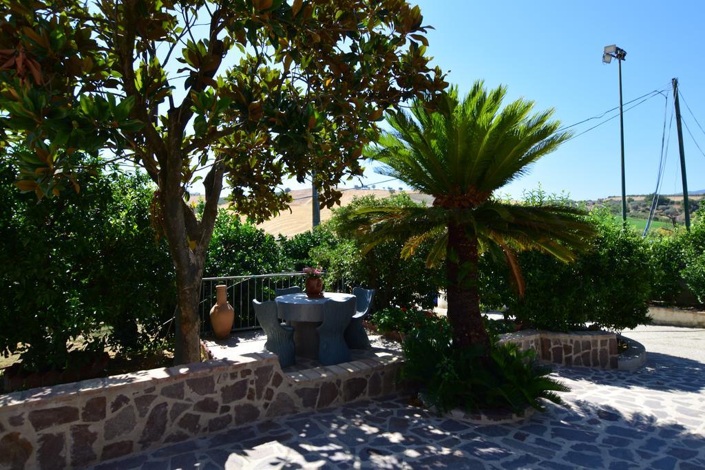 Agriturismo Trappeto Vecchio San Demetrio Corone Kültér fotó