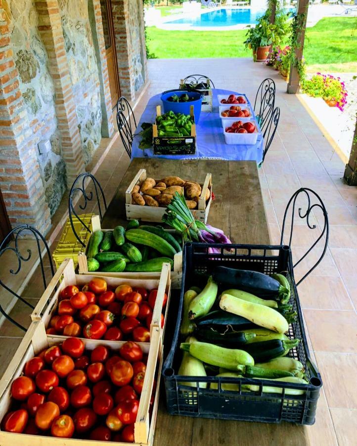 Agriturismo Trappeto Vecchio San Demetrio Corone Kültér fotó